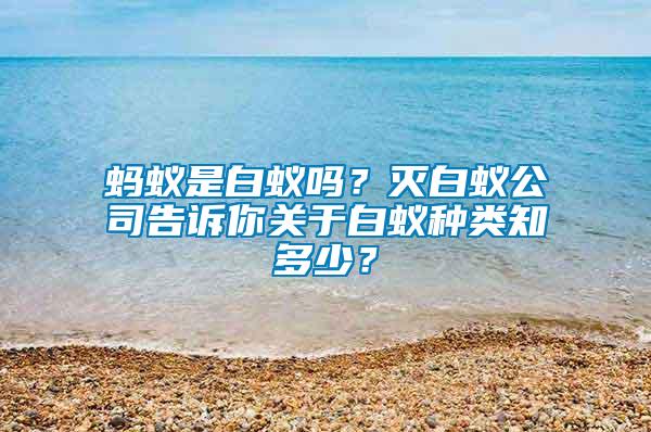 螞蟻是白蟻嗎？滅白蟻公司告訴你關(guān)于白蟻種類知多少？