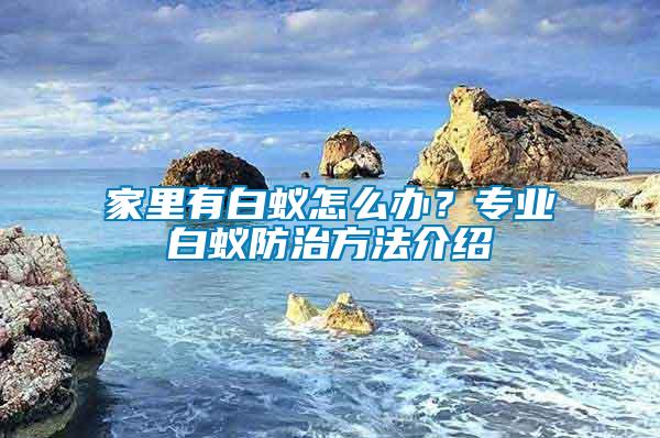 家里有白蟻怎么辦？專業白蟻防治方法介紹