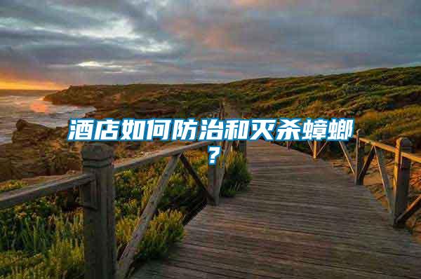 酒店如何防治和滅殺蟑螂？