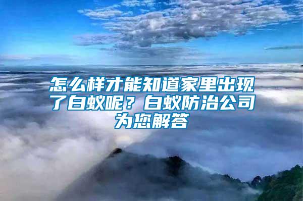 怎么樣才能知道家里出現(xiàn)了白蟻呢？白蟻防治公司為您解答