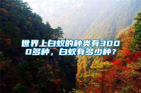 世界上白蟻的種類(lèi)有3000多種，白蟻有多少種？