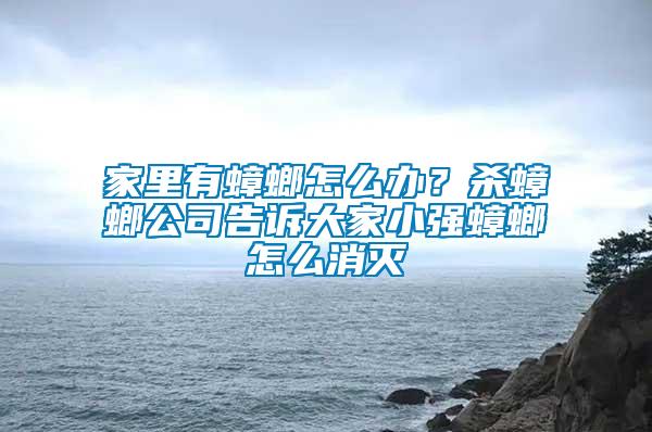 家里有蟑螂怎么辦?殺蟑螂公司告訴大家小強蟑螂怎么消滅