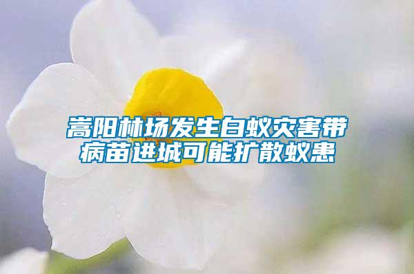 嵩陽林場發(fā)生白蟻災(zāi)害帶病苗進(jìn)城可能擴散蟻患