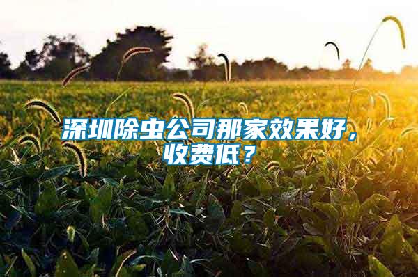 深圳除蟲公司那家效果好,收費低?