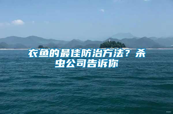 衣魚的最佳防治方法？殺蟲公司告訴你