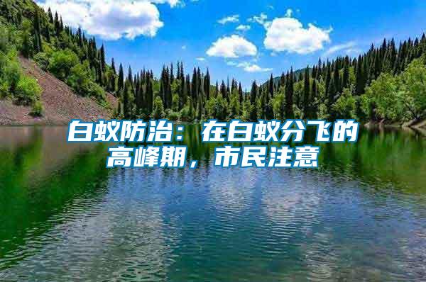 白蟻防治：在白蟻分飛的高峰期，市民注意