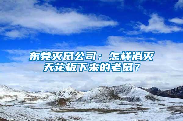 東莞滅鼠公司：怎樣消滅天花板下來的老鼠？