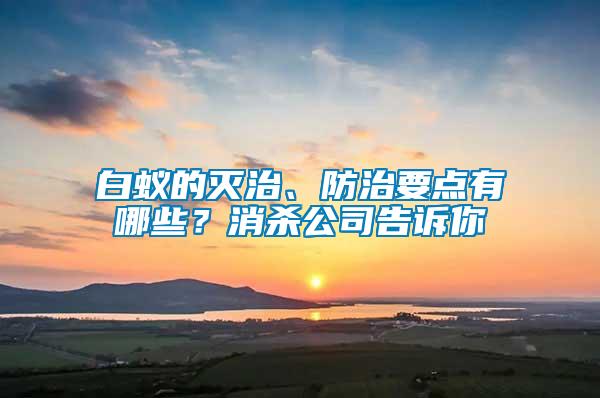 白蟻的滅治、防治要點有哪些？消殺公司告訴你