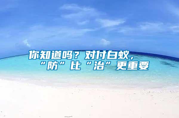 你知道嗎？對付白蟻，“防”比“治”更重要