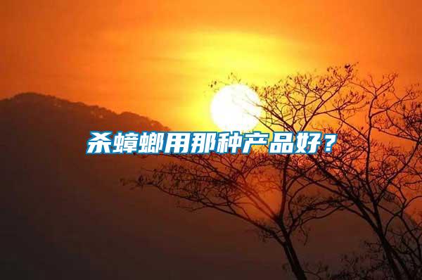 殺蟑螂用那種產品好？