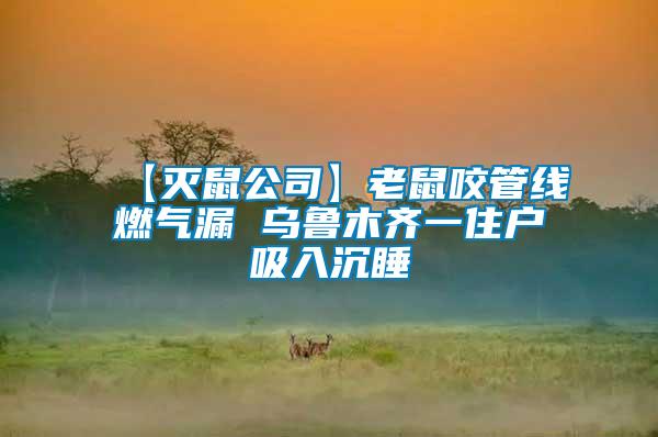 【滅鼠公司】老鼠咬管線(xiàn)燃?xì)饴?烏魯木齊一住戶(hù)吸入沉睡