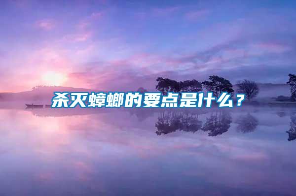 殺滅蟑螂的要點是什么？