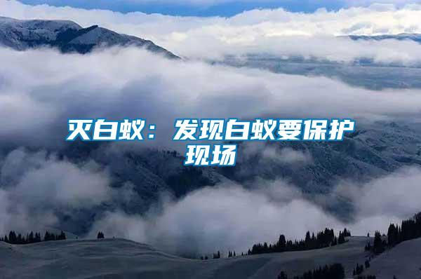 滅白蟻：發(fā)現(xiàn)白蟻要保護現(xiàn)場