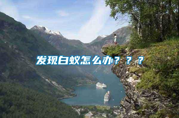 發現白蟻怎么辦？？？