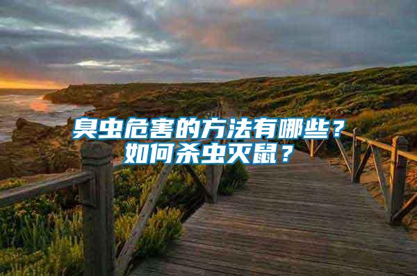臭蟲危害的方法有哪些？如何殺蟲滅鼠？