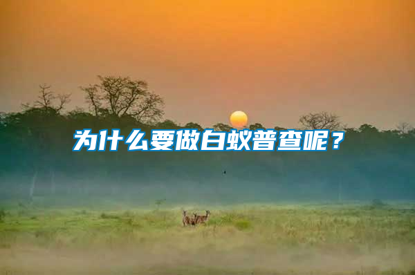 為什么要做白蟻普查呢？
