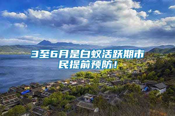 3至6月是白蟻活躍期市民提前預防！