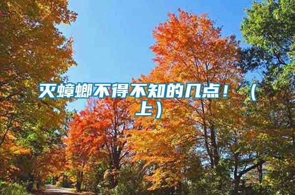 滅蟑螂不得不知的幾點！（上）