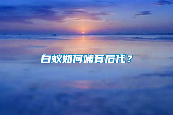 白蟻如何哺育后代？