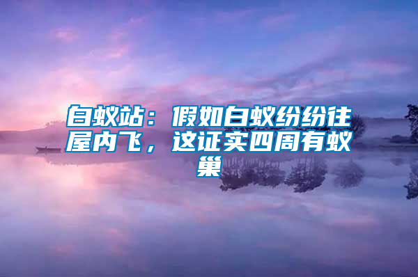 白蟻站：假如白蟻紛紛往屋內飛，這證實四周有蟻巢