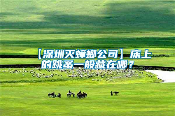 【深圳滅蟑螂公司】床上的跳蚤一般藏在哪？