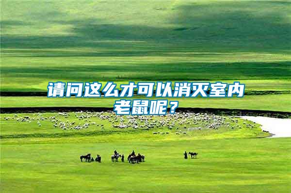 請問這么才可以消滅室內老鼠呢?