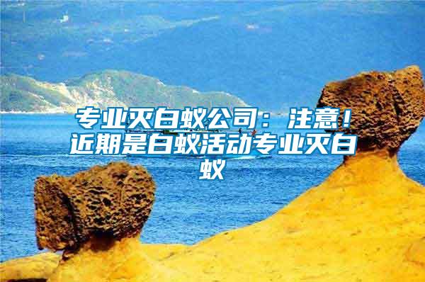 專業滅白蟻公司:注意!近期是白蟻活動專業滅白蟻