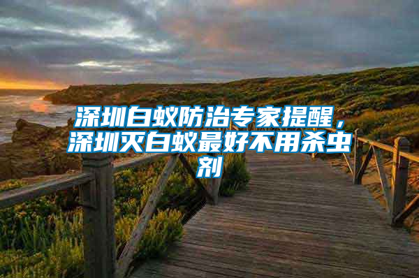 深圳白蟻防治專家提醒，深圳滅白蟻最好不用殺蟲劑