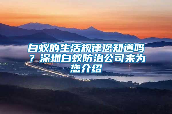 白蟻的生活規(guī)律您知道嗎?深圳白蟻防治公司來為您介紹