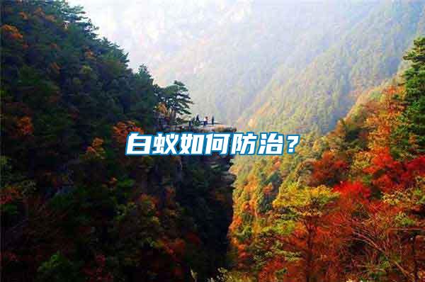 白蟻如何防治？