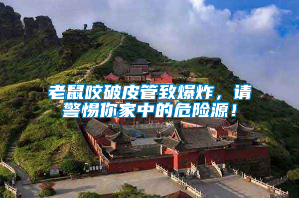 老鼠咬破皮管致爆炸，請警惕你家中的危險源！