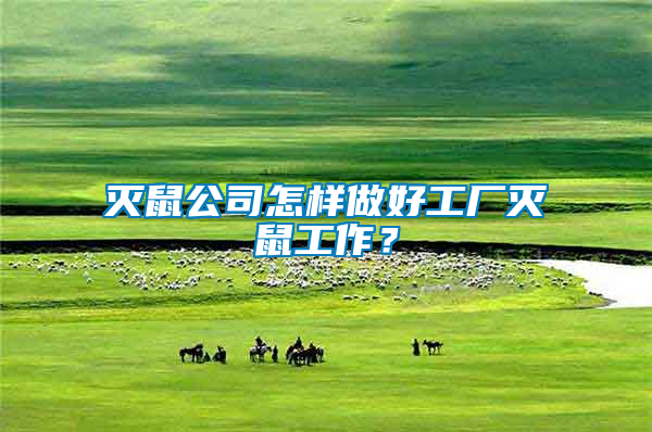 滅鼠公司怎樣做好工廠滅鼠工作?