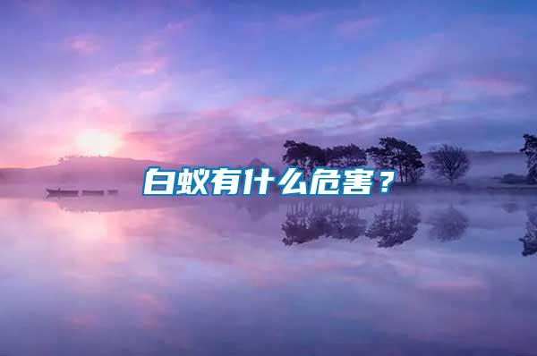 白蟻有什么危害？