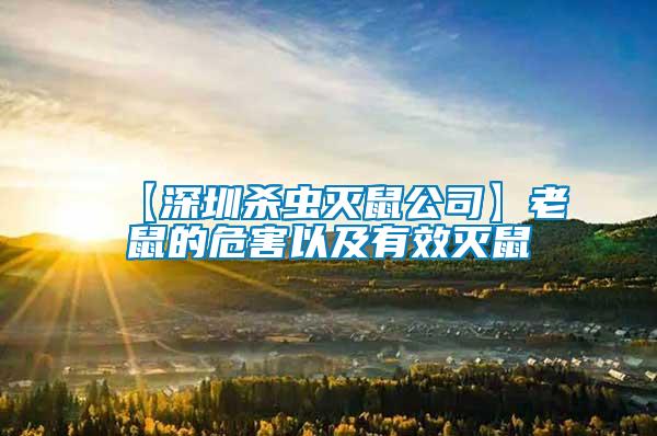 【深圳殺蟲(chóng)滅鼠公司】老鼠的危害以及有效滅鼠