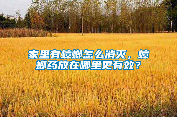 家里有蟑螂怎么消滅，蟑螂藥放在哪里更有效？