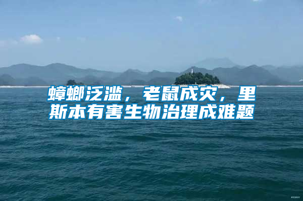 蟑螂泛濫,老鼠成災(zāi),里斯本有害生物治理成難題