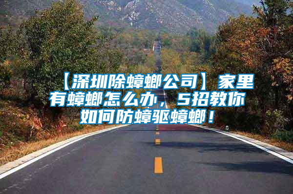 【深圳除蟑螂公司】家里有蟑螂怎么辦，5招教你如何防蟑驅蟑螂！