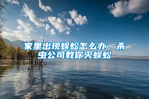 家里出現蜈蚣怎么辦，殺蟲公司教你滅蜈蚣