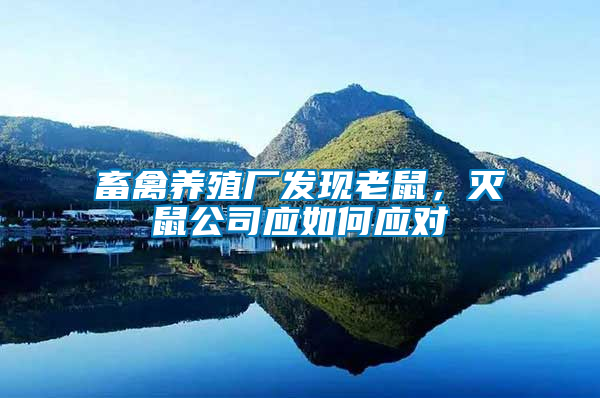 畜禽養(yǎng)殖廠發(fā)現(xiàn)老鼠，滅鼠公司應如何應對