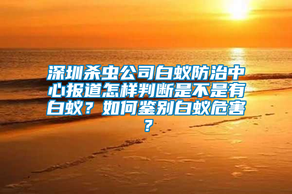 深圳殺蟲公司白蟻防治中心報道怎樣判斷是不是有白蟻？如何鑒別白蟻危害？
