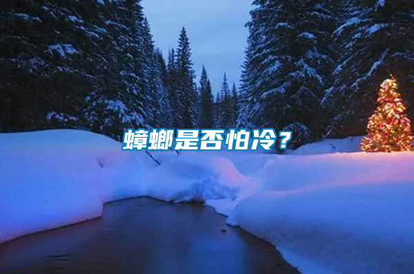 蟑螂是否怕冷?