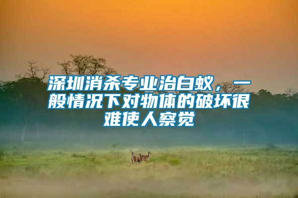 深圳消殺專業治白蟻,一般情況下對物體的破壞很難使人察覺