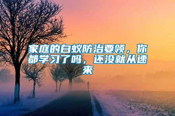 家庭的白蟻防治要領(lǐng),你都學(xué)習(xí)了嗎,還沒就從速來