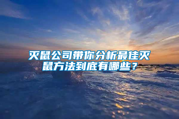滅鼠公司帶你分析最佳滅鼠方法到底有哪些？