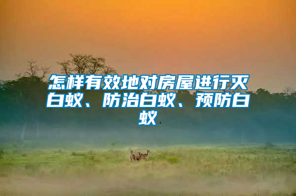 怎樣有效地對房屋進(jìn)行滅白蟻、防治白蟻、預(yù)防白蟻