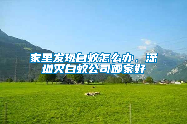 家里發現白蟻怎么辦，深圳滅白蟻公司哪家好