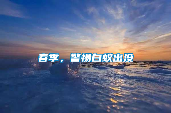 春季，警惕白蟻出沒