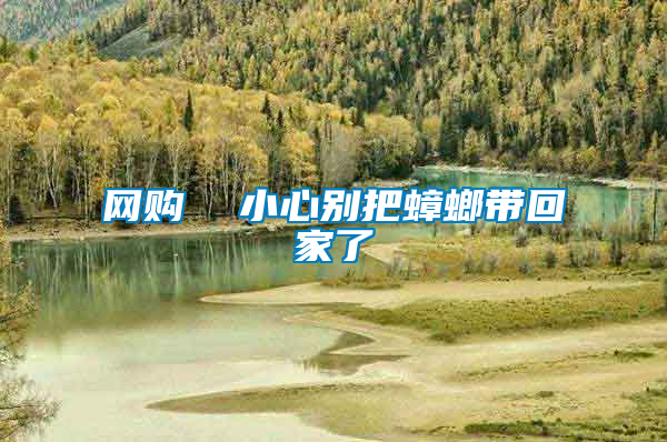 網(wǎng)購(gòu) 小心別把蟑螂帶回家了