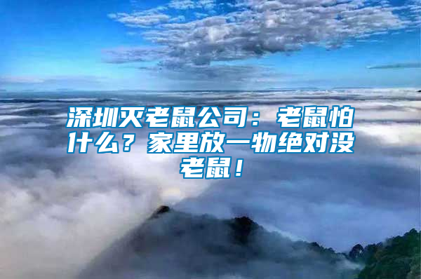 深圳滅老鼠公司：老鼠怕什么？家里放一物絕對(duì)沒(méi)老鼠！