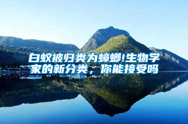 白蟻被歸類為蟑螂!生物學(xué)家的新分類，你能接受嗎